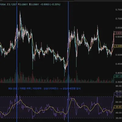 [30일 챌린지 40기 2주차]
