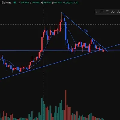 [30일 챌린지 41기 1주차] 추세선 작도