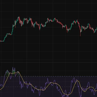 [30일 챌린지 40기 2주차]