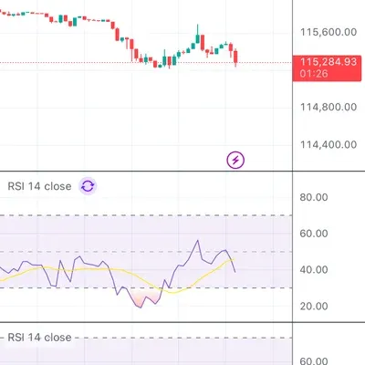 [30일 챌린지 40기 2주차] 알파카, RSI 인증