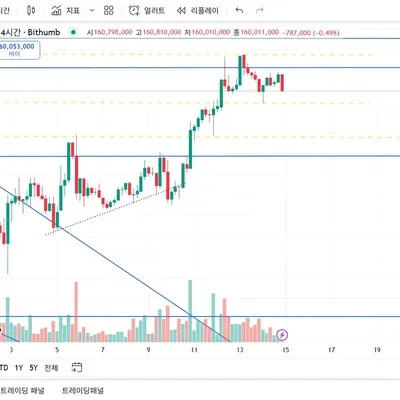 [30일 챌린지 38기 4주차 ]