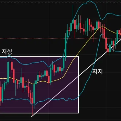 30일 챌린지 41기 1주차