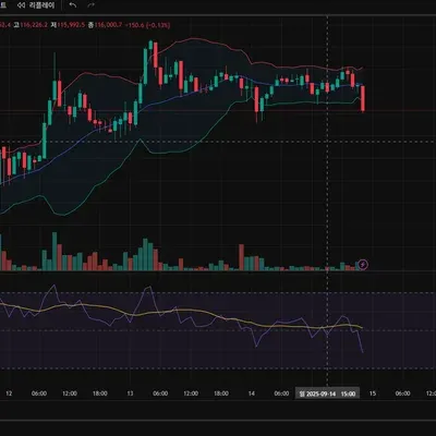 [30일 챌린지 40기 2주차]