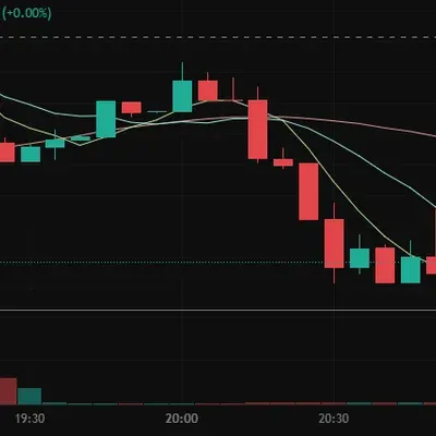 [30일 챌린지 14기 4주차]