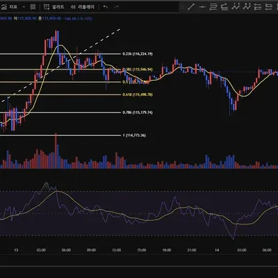 [30일 챌린지 38기 4주차]