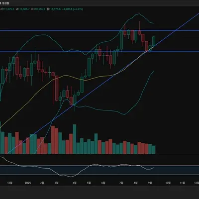 [30일 챌린지 41기 1주차] 차트작도 미션