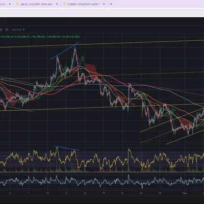 [30일 챌린지 16기 11일차]  RSI 다이버전스 찾기