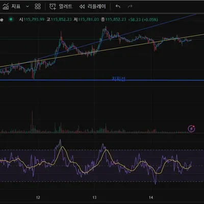[30일 챌린지 40기 2주차]