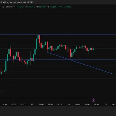 30일 챌린지 41기 1주차 추세선 지지저항선 작도