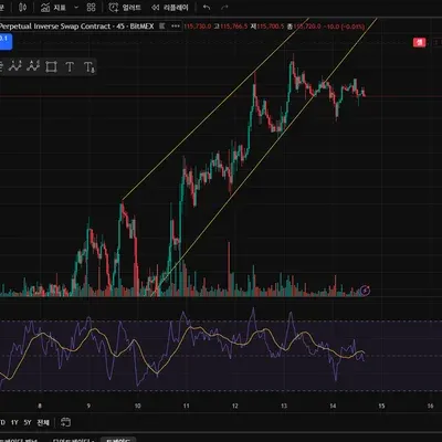 [30일 챌린지 38기 4주차]