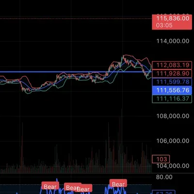 [30일 챌린지 17기 1주차] 트레이딩뷰셋업
