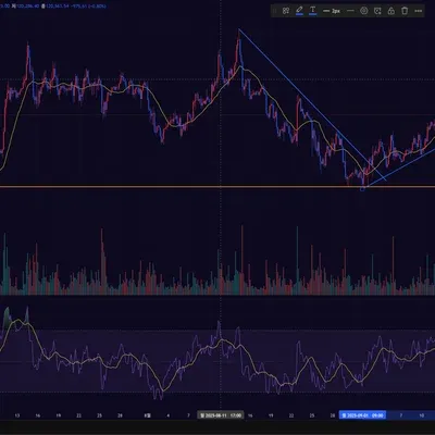 30일 챌린지 41기 1주차