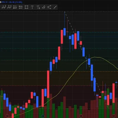 테슬라 차트로 피보나치 연습하고 있는데, 잘 안맞는거 같은데 한번 봐주실 수 있을까요?
