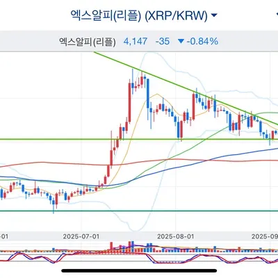 [30일 챌린지 41기 1주차]