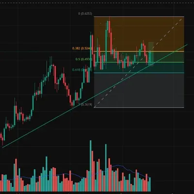 [30일 챌린지 15기 4주차]