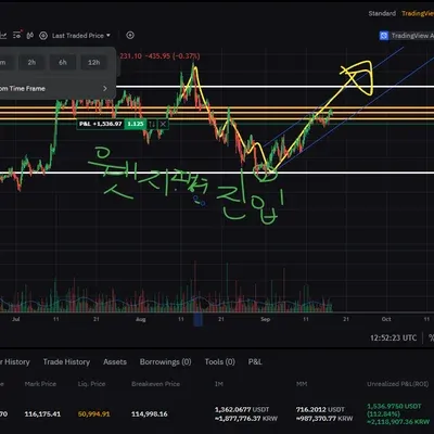 [30일 챌린지 15기 4주차]