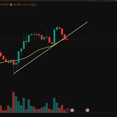 [30일 챌린지 41기 1주차] 지지 저항과 추세선 4일차 미션