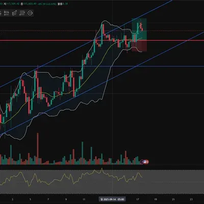 [30일 챌린지 15기 4주차] 