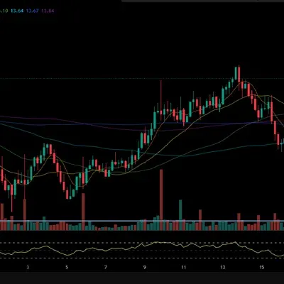 30일챌린지 41기 2주차