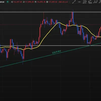 [30일 챌린지 42기 1주차] 작도