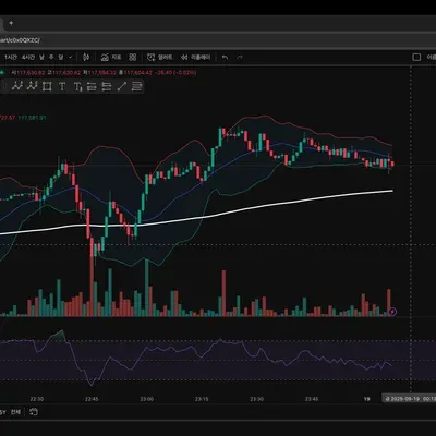 [30일 챌린지 41기 2주차] RSI 지표