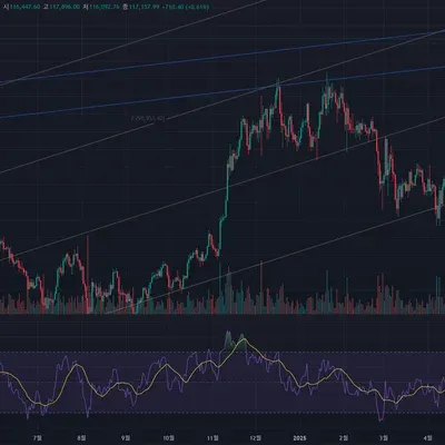 [30일 챌린지 41기 2주차]