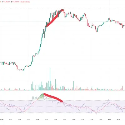 [30일 챌린지 17기 2주차] 다이버전스 구간