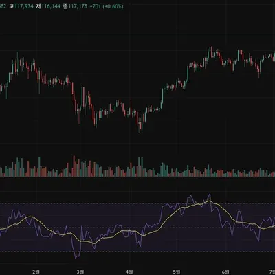 [30일 챌린지 41기 2주차]  RSI 강의 및 차트 확인