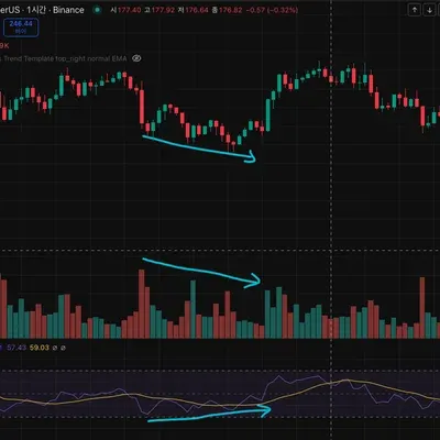 [30일 챌린지 41기 2주차] RSI 강의 및 차트 확인