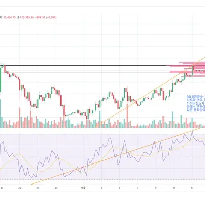 [30일 챌린지 41기 2주차] RSI