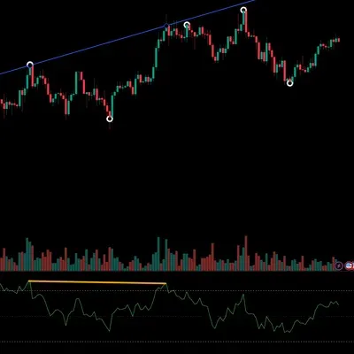 [30일 챌린지 17기 2주차] 다이버전스 찾기