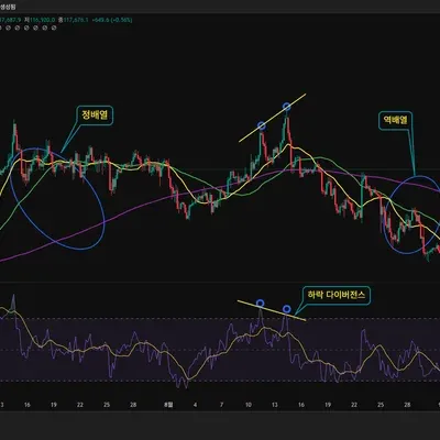 30일 챌린지 17기 2주차