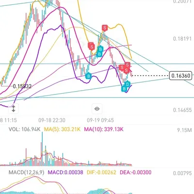 [30일 챌린지 41기 2주차]