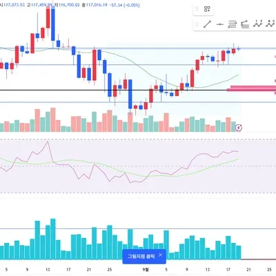 [30일 챌린지 41기 2주차] RSI 지수의 움직임