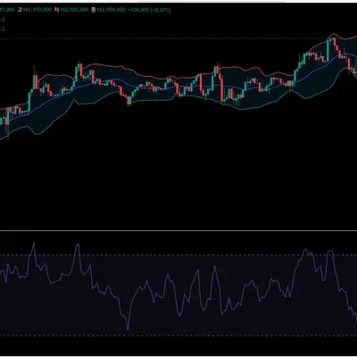 [30일 챌린지 18기 1주차] 트레이닝뷰 