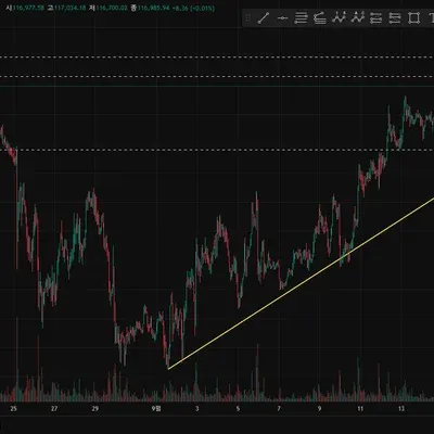 30일 챌린지 42기 1주차