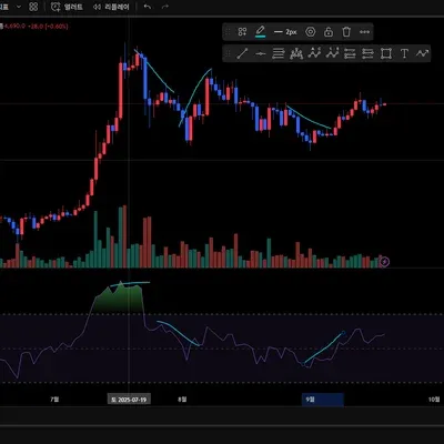 [30일 챌린지 17기 2주차] 다이버전스 알아보기