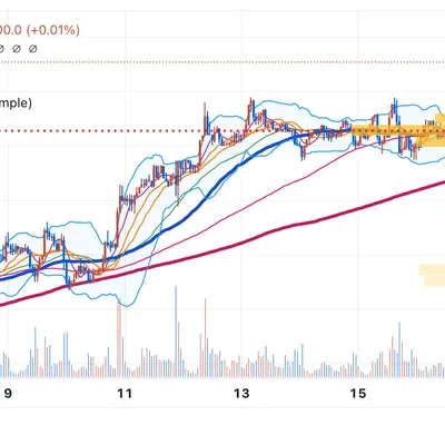 [30일 챌린지 18기 1주차] 트레이딩뷰 세팅