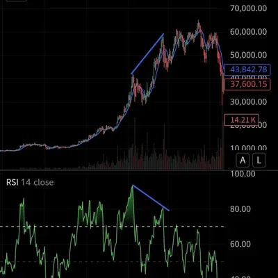 17기 2주차 11일 미션