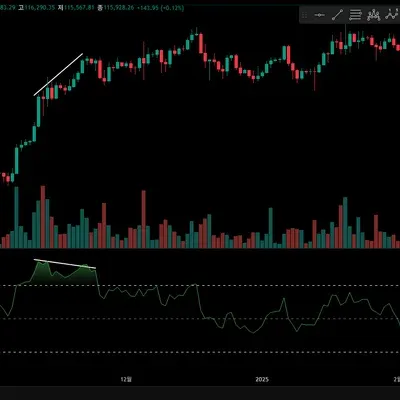 [30일 챌린지 17기 2주차] 다이버전스