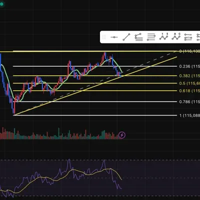 [30일 챌린지 42기 1주차] 