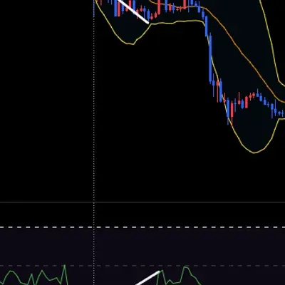 [30일 챌린지 17기 2주차]