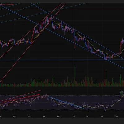 [30일 챌린지 41기 2주차]