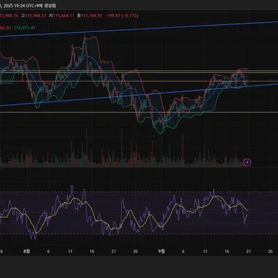 [30일 챌린지 41기 2주차] 