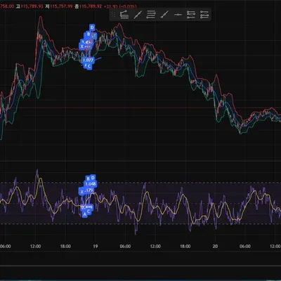 [30일 챌린지 41기 2주차]