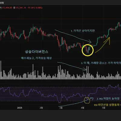 [30일 챌린지 41기 2주차] RSI 지표와 다이버전스와의 관계 