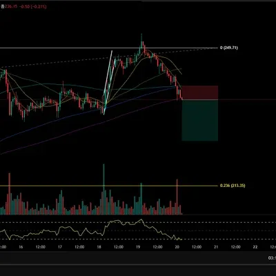 30일챌린지 15기 4주차